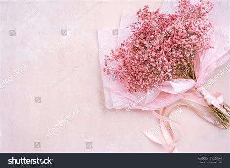Bouquet Pink Babys Breath On Light Stock Photo 1930057961 | Shutterstock
