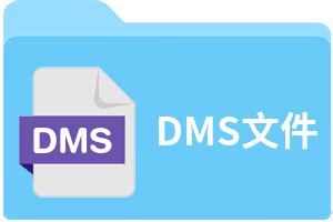 DMS File 的图像结果