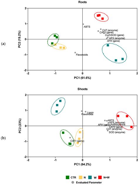 Enzymatic and Non-Enzymatic Antioxidant Responses of Young Tomato ...
