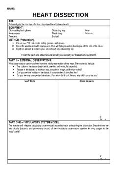 The Science Files Teaching Resources | Teachers Pay Teachers