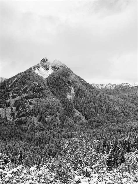 Washington 的图像结果