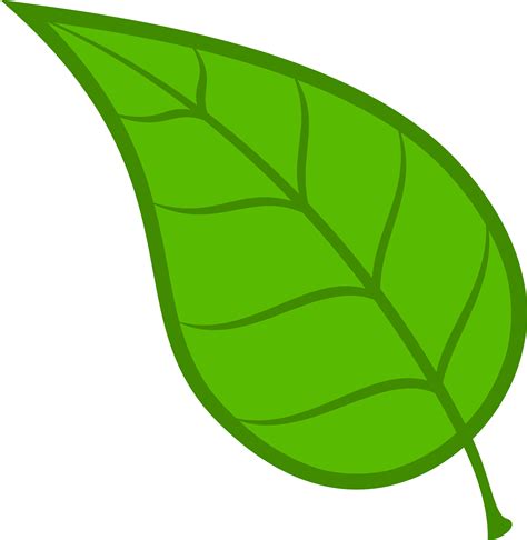 Leaves Leaf Free Download Clip Art On Clipart Library - Green Leaves ...