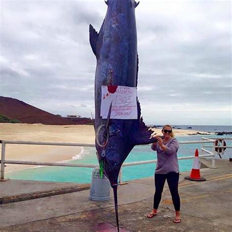 Angler Reels In World Record-Breaking 1,305-Pound Blue Marlin (Photos ...