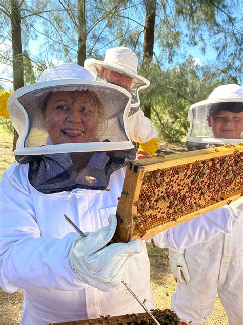Image result for Basic Beekeeping Course