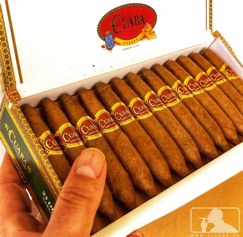 Cuaba Divinos (Single Cigar ) - www.cigarsindia.in
