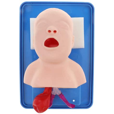 Buy WSXKA Intubation Manikin Model, PVC Baby Intubation Manikin Study ...