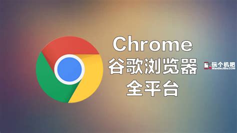 [全平台]下载Chrome谷歌浏览器官方原版 - 玩机大学