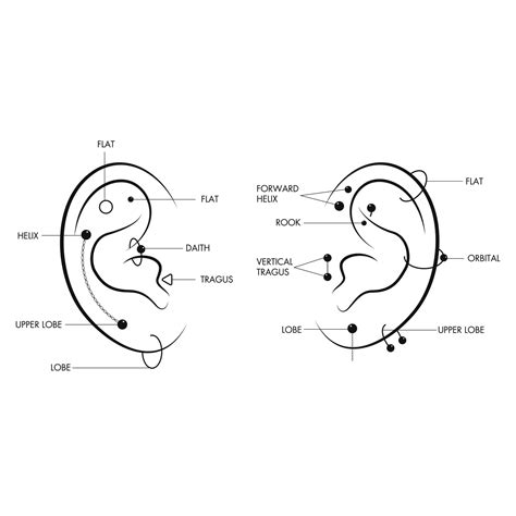Map Of Ear Piercings