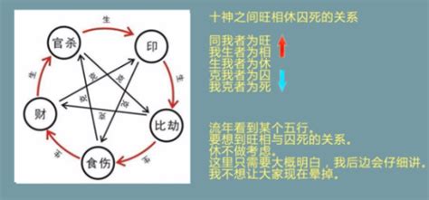 九龙道长365个八字案例笔记（13） - 哔哩哔哩