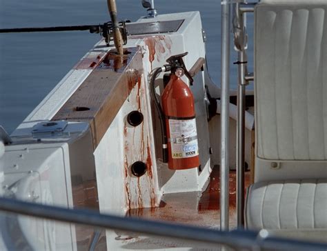 The Birds II: Land's End (1994)