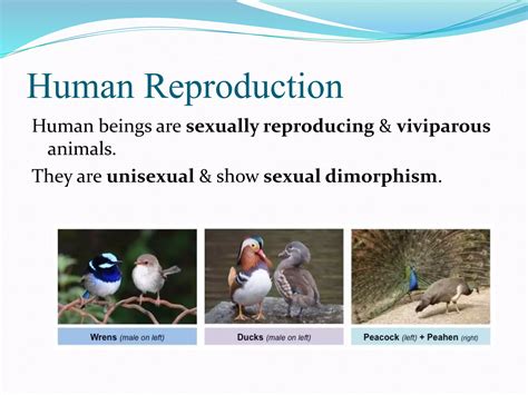 Image result for Human Reproduction SE