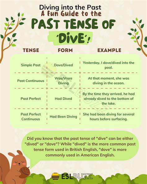 Understanding the Past Tense of Dive: Dive into Learning English ...