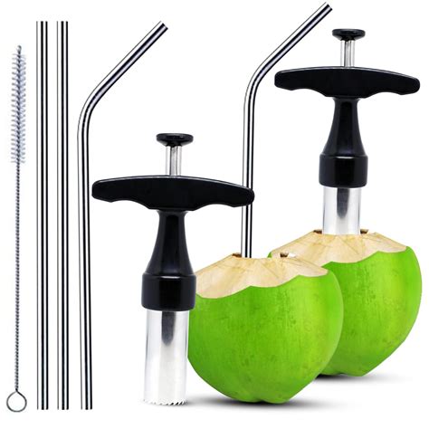 Buy Home Genie Stainless Steel Coconut Opener Tool with Comfortable ...