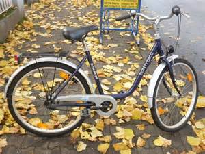 228 Gang Rücktrittsbremse 26 Zoll Rh 51 tiefer Einstieg in Mainz ...