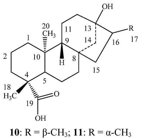 Synthesis and Sensory Evaluation of ent-Kaurane Diterpene Glycosides