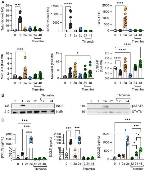 Cells | Special Issue : State-of-Art in Innate Immunity