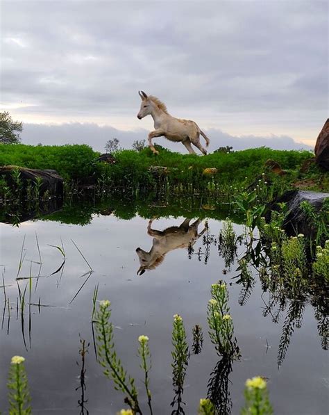 THE BEST Rancho Santa Fe Accessible Hotels 2025 (with Prices)