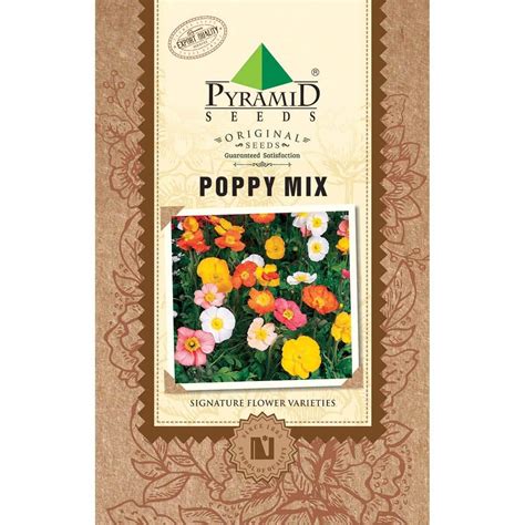 Pyramid Seeds Poppy Mix Flower Seeds (Multicolour, Pack of 200 ...