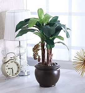 Buy Fourwalls Artificial Ficus Bonsai Plant in a Ceramic Vase for Home ...