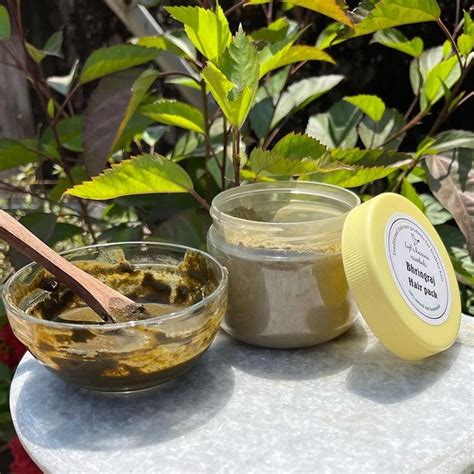 Bringraj (Karisalankanni) Hair Pack Powder - Nourish Your Hair