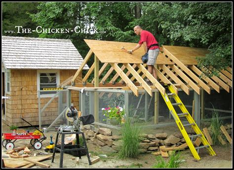 Chicken Coop Roof Framing at Richard Colon blog