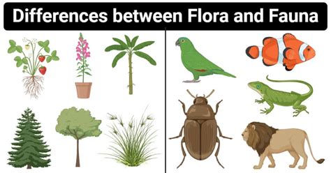 Introduction to Flora and Fauna - GKDUNIYA.IN | GKDuniya