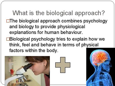 Biological Approach Examples 的图像结果