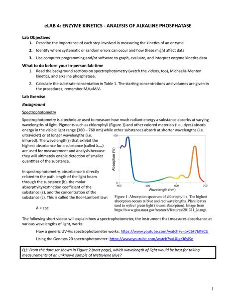 Image result for Enzyme Kinetics Lab
