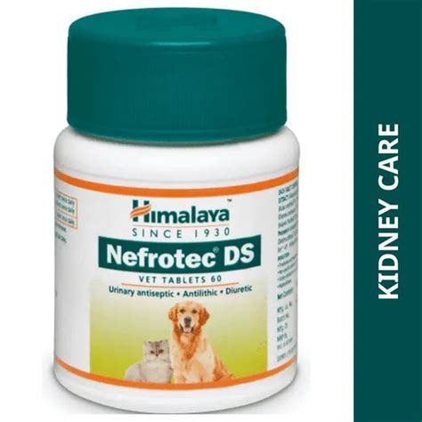 Buy Pet Medicine & Supplements | Dog & Cat Health Care – Wrapinfur