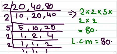 lcm of 20 40 80एलसीएम ऑफ एंटीफर्टिलिटी - Brainly.in