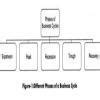 Define stages of a business cycle with the help of a diagram? - Brainly.in