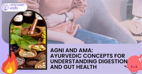Agni and Ama: Ayurvedic Concepts for Understanding Digestion and Gut ...