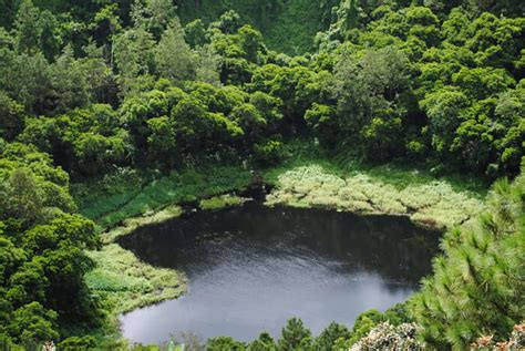 Why An Adventure Honeymoon In Mauritius Is A Must