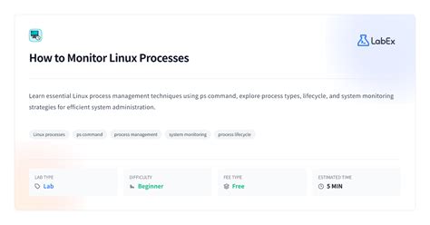 Image result for Monitoring and Managing Linux Processes