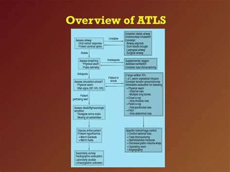 Advanced Trauma Life Support Algorithm 的图像结果