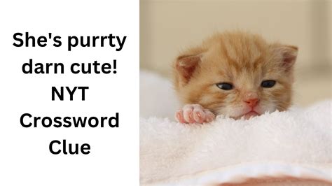 She's purrty darn cute! NYT Crossword Clue - November 9 2024