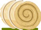 Sarda Dairy - Contact Us