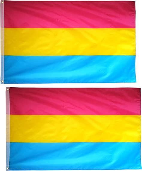 Amazon.com : 3x5ft LGBT Pansexuality Omnisexuality pride flag for wall ...
