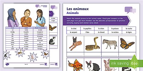 French: Animals Match and Say Activity Sheet (teacher made)