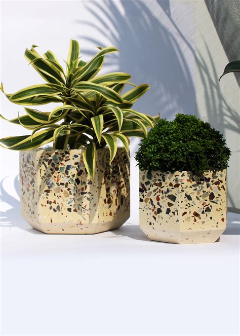 Get Pasadoble Terrazzo Concrete Set at ₹ 1800 | LBB Shop