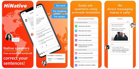 Image result for Software Flaw Implementation Example Time Frame