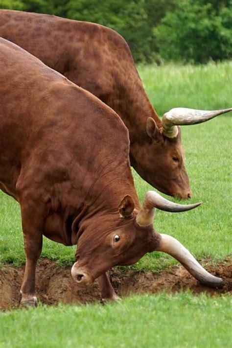 IIT: Get Latest Buzz, Updates, Gossip, Photos & Videos