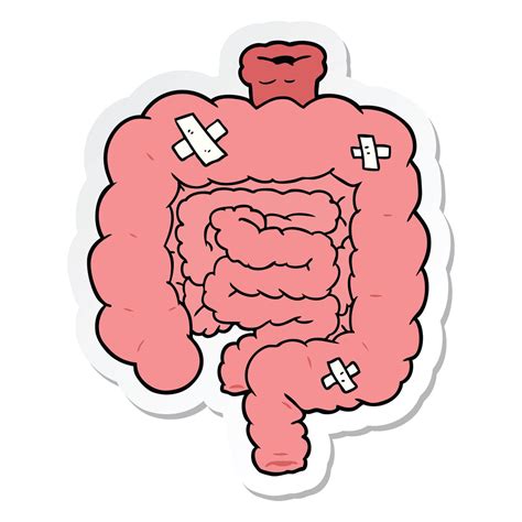 Keep Your Gut Happy: Preventing Leaky Gut Syndrome With Vital Restore – KaraMD®