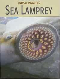 Sea Lamprey (Animal Invaders) : Somervill, Barbara A.: Amazon.in: Books