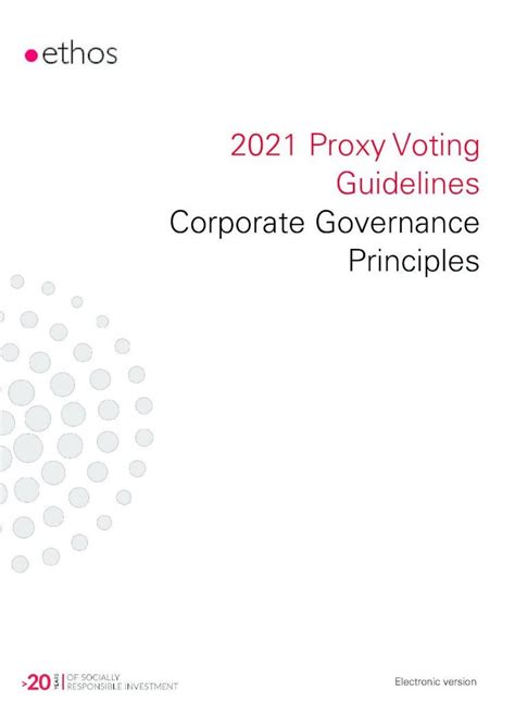 Proxy Voting Examples 的图像结果