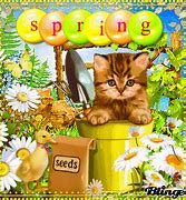 Image result for Bunnies in Spring Time