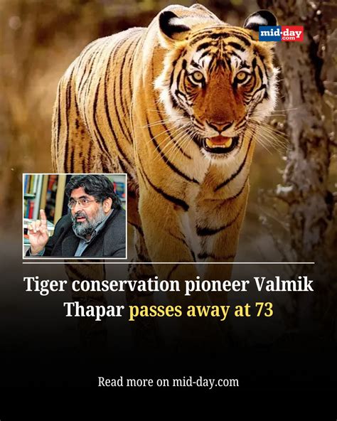 mid-day | Valmik Thapar, one of India’s most renowned wildlife ...