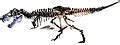Image result for Anima Si HTML Love Canvas JavaScript