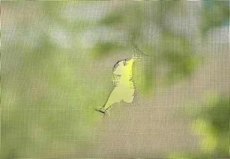 Image result for Rainscreen Insect Mesh