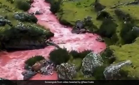 VIDEO: यहां बहती है 'खून की नदी'! वजह जानकर उड़ जाएंगे होश | Old Video ...